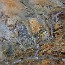 thumbs/E5D_5129.jpg